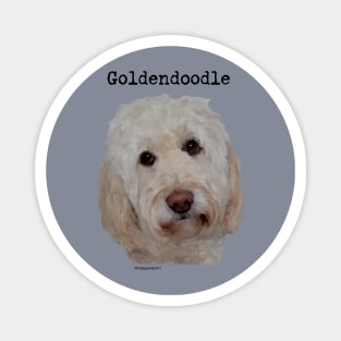 Goldendoodle Dog Magnet